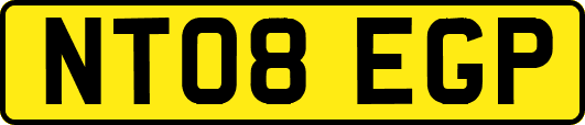 NT08EGP