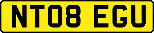 NT08EGU