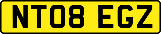 NT08EGZ