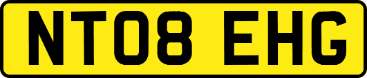 NT08EHG