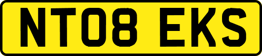 NT08EKS