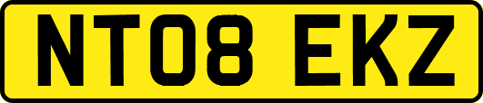 NT08EKZ