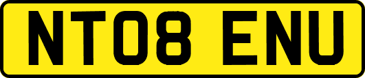 NT08ENU