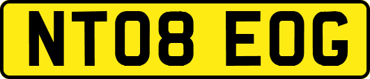 NT08EOG