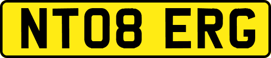 NT08ERG