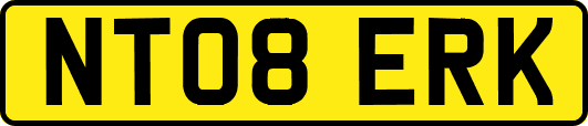 NT08ERK