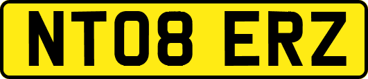 NT08ERZ