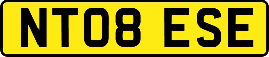 NT08ESE