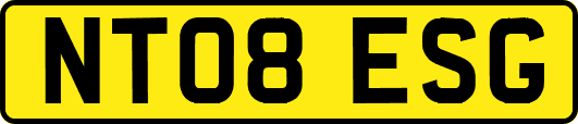 NT08ESG