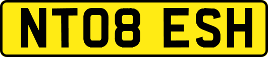 NT08ESH