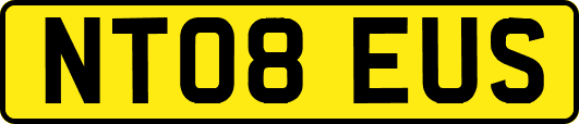 NT08EUS