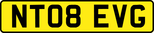 NT08EVG