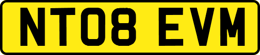 NT08EVM