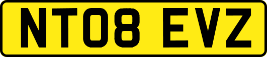 NT08EVZ