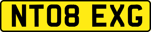 NT08EXG