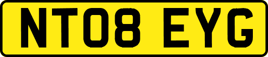 NT08EYG