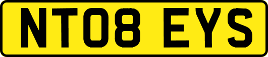 NT08EYS