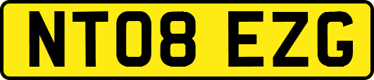 NT08EZG