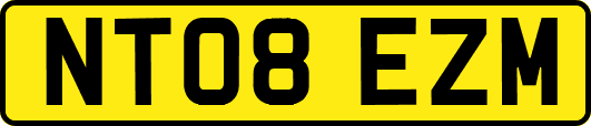 NT08EZM