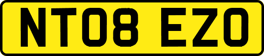 NT08EZO