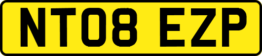 NT08EZP