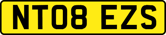 NT08EZS