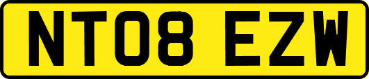 NT08EZW