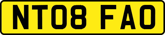 NT08FAO