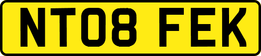 NT08FEK