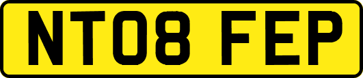 NT08FEP