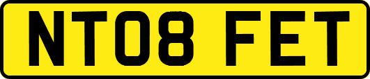 NT08FET
