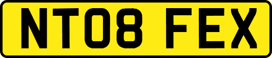 NT08FEX