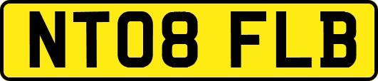 NT08FLB