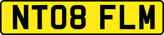 NT08FLM