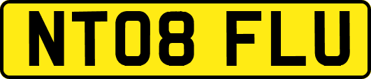 NT08FLU