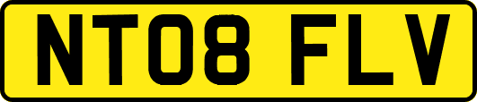 NT08FLV