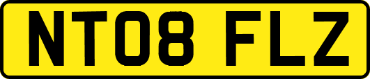 NT08FLZ