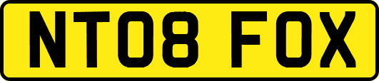 NT08FOX
