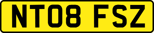 NT08FSZ