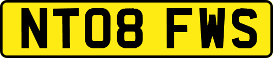 NT08FWS