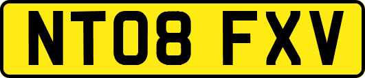 NT08FXV