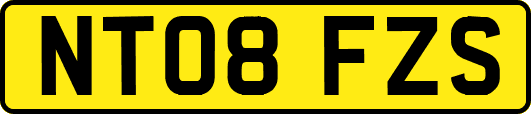 NT08FZS