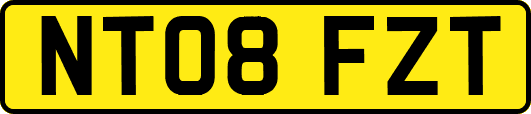 NT08FZT