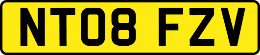 NT08FZV