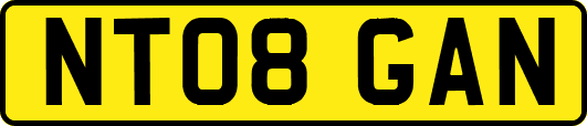 NT08GAN