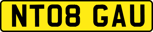 NT08GAU