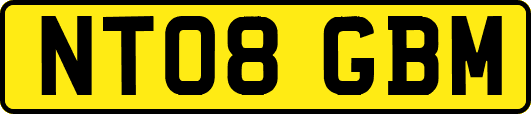 NT08GBM