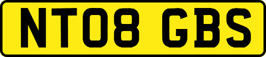 NT08GBS