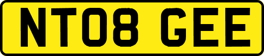 NT08GEE