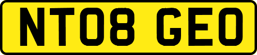 NT08GEO